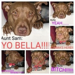 Meet your Posher, Samantha